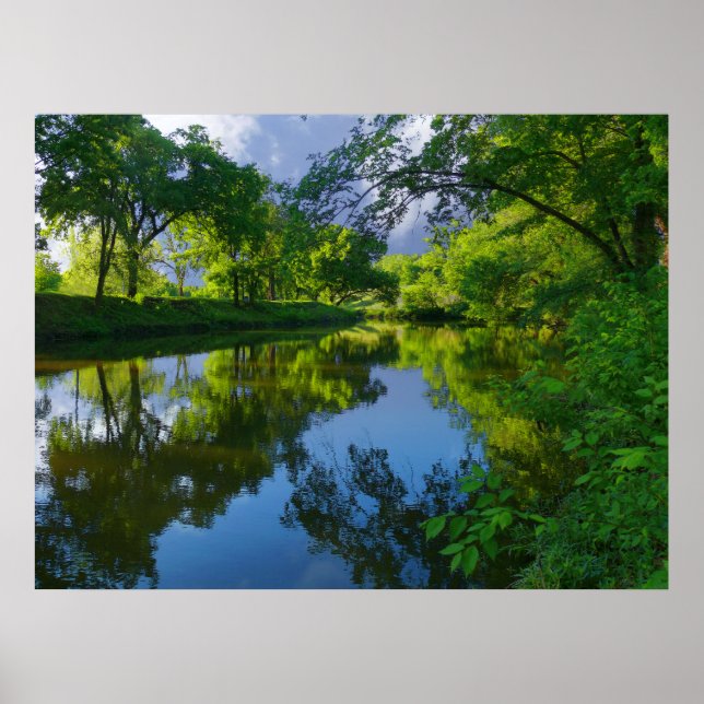 Dreaming in the Park Poster (Front)