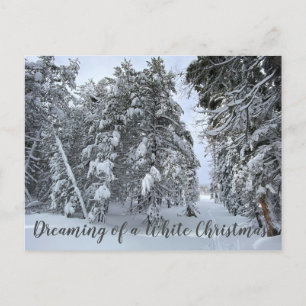 Dreaming of a White Christmas Postcard