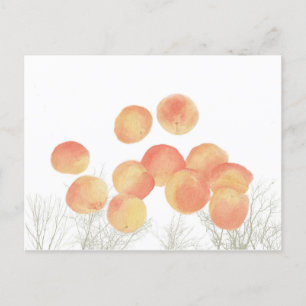 Dreaming of apricots in the winter postcard