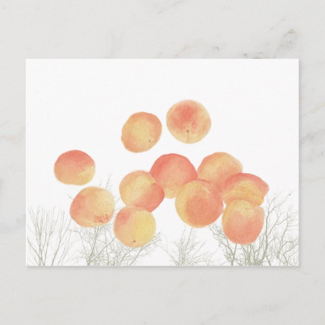 Dreaming of apricots in the winter  postcard (Front)