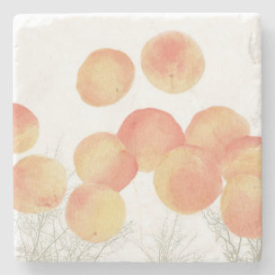 Dreaming of apricots in the winter stone coaster