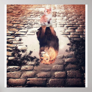 Dreaming Of Cat Lion, Funny Cat Gift Poster
