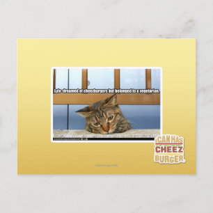 Dreaming of Cheesburgers Postcard