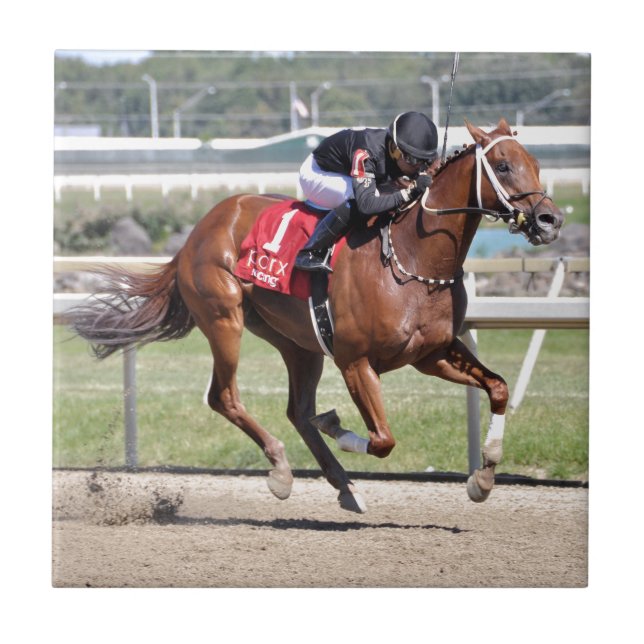 Dreaming of Neno Ceramic Tile (Front)