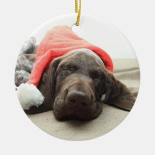 Dreaming of Santa - German Shorthair Puppy Ceramic Tree Decoration