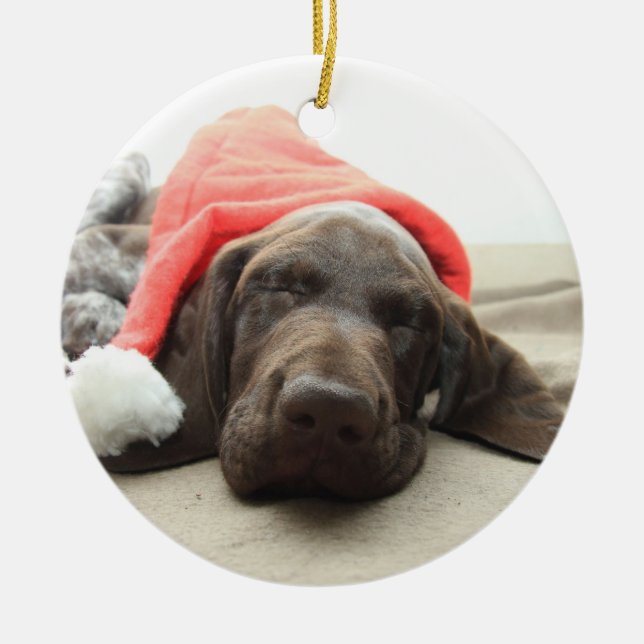 Dreaming of Santa - German Shorthair Puppy Ceramic Tree Decoration (Front)