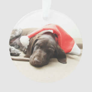 Dreaming of Santa - German Shorthair Puppy Ornament