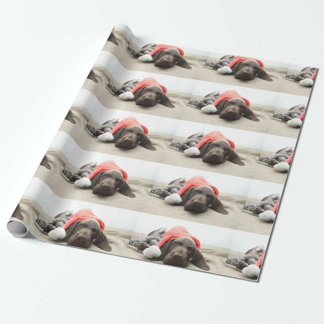 Dreaming of Santa - German Shorthair Puppy Wrapping Paper (Unrolled)