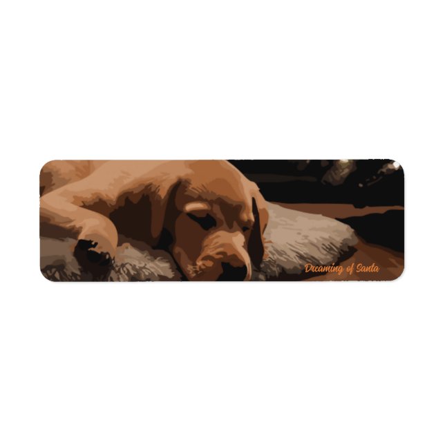 Dreaming of Santa Return Address Label (Front)