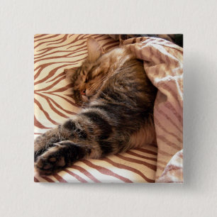 Dreaming of the veldt 15 cm square badge