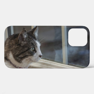 Dreaming Of Warmer Weather To Go Outside iPhone 12 Case