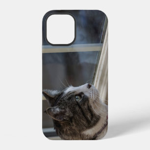 Dreaming Of Warmer Weather To Go Outside iPhone 12 Case