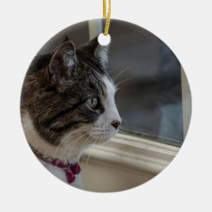 Dreaming Of Warmer Weather To Go Outside Ornament
