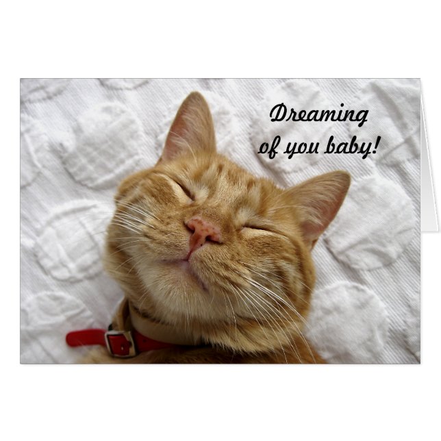 Dreaming of You Baby (Front Horizontal)