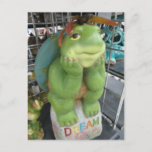 Dreaming Turtle Postcard