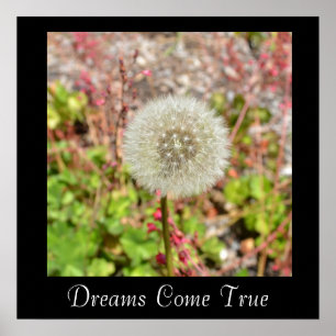Dreams Come True Inspirational Poster