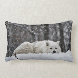 Dreams of warmer weather lumbar cushion