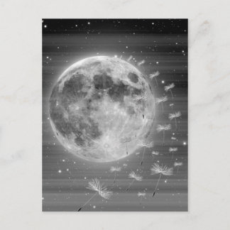 Dreams That Fly Postcard