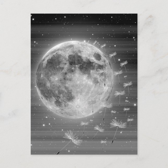 Dreams That Fly Postcard (Front)