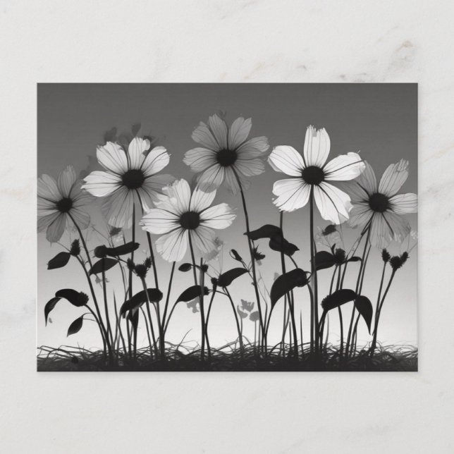 Dreamy Black and White Floral Shadows Postcard (Front)