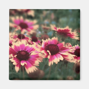 Dreamy Blanket Flowers Magnet