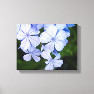 Dreamy Botanical Sparkle Background Canvas Print