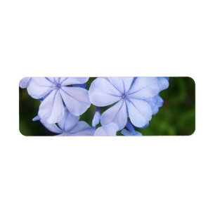 Dreamy Botanical Sparkle Background Return Address Label