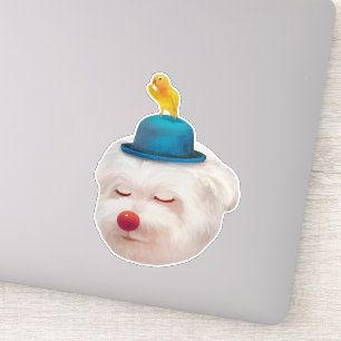 Dreamy Clown Dog: Smiling Bichon with Blue Hat
