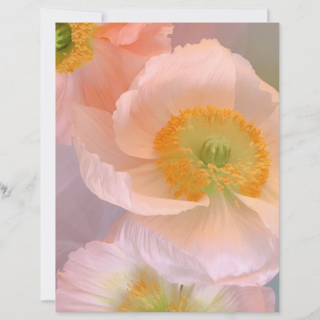 Dreamy Custom Letterhead (Front)