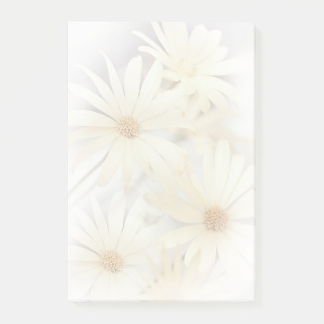 Dreamy Daisies 2 Post-it Notes (Front)