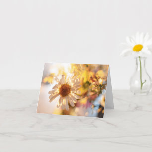 Dreamy daisy fine art photo card