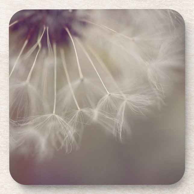 Dreamy Dandelion Art Hard plastic coaster 03 (Front)