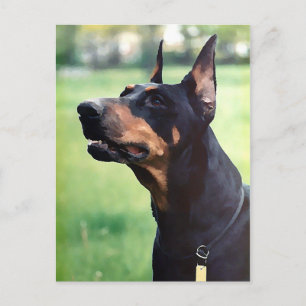 Dreamy Doberman Pinscher Face Painting Postcard