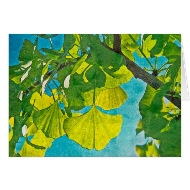 Dreamy Fans (Front Horizontal)