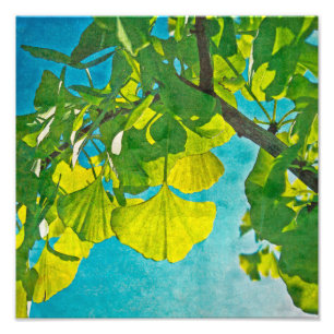 Dreamy Fans Photo Print