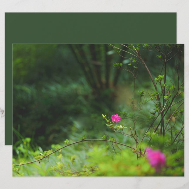 Dreamy forest flower Scrapbook Paper (Front/Back)