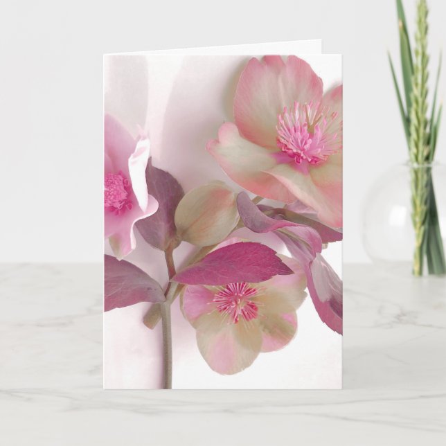 Dreamy Hellebores Paper Placemat Card (Front)