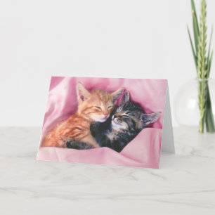 dreamy kittens greeting card