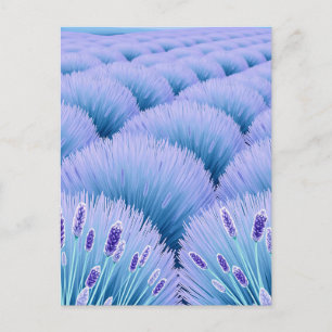 Dreamy Lavender Fields Aesthetic Purple Blue  Postcard