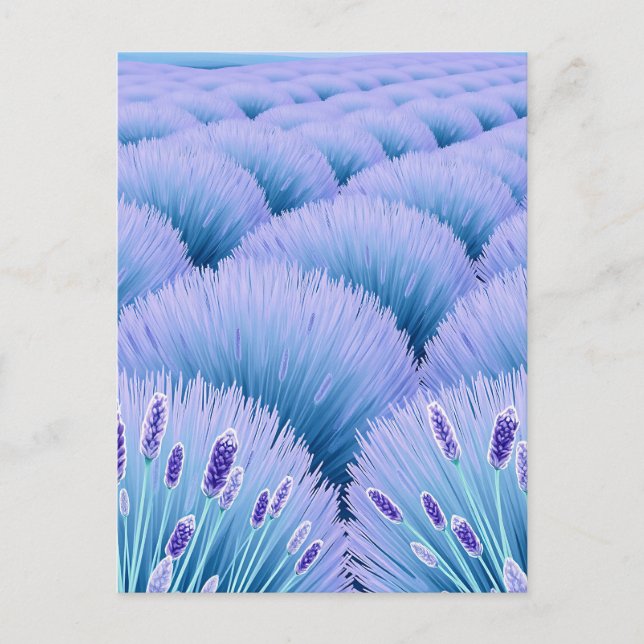 Dreamy Lavender Fields Aesthetic Purple Blue  Postcard (Front)