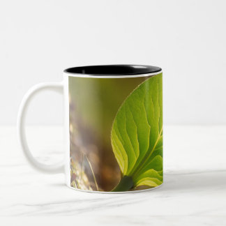 Dreamy Leaf Mug