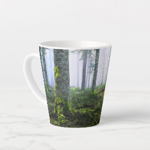Dreamy Morning Forest Photo Latte Mug