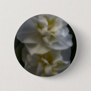 Dreamy Narcissus Daffodils 6 Cm Round Badge