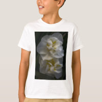 Dreamy Narcissus Daffodils
