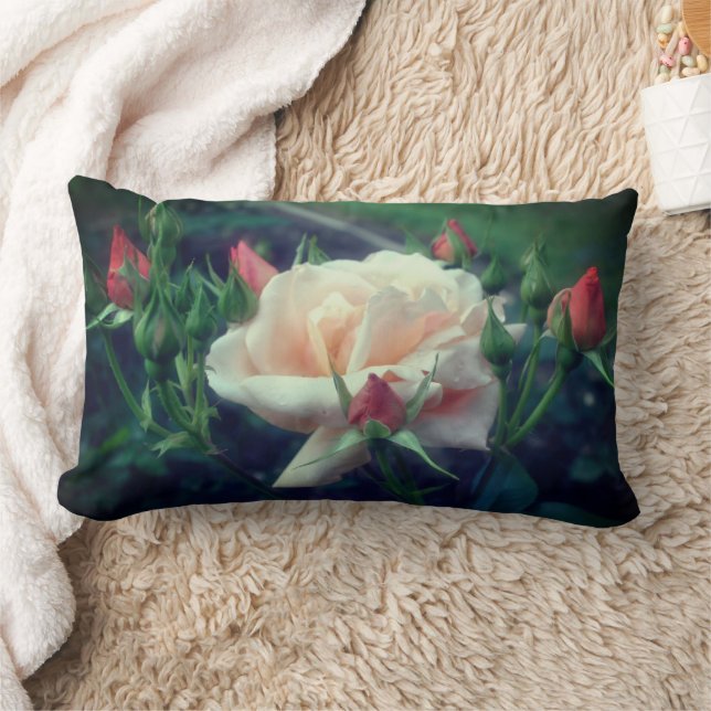 Dreamy Peach Rose And Buds   Lumbar Cushion (Blanket)