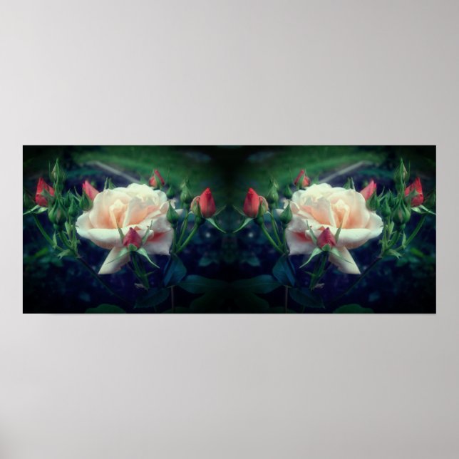 Dreamy Peach Rose And Buds Mirror Abstract Poster (Front)