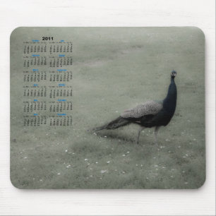 Dreamy peacock mouse pad