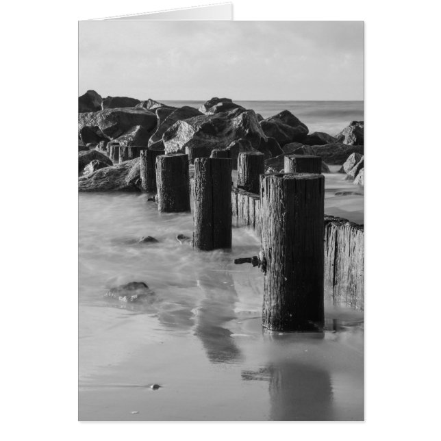 Dreamy Seawall Grayscale (Front)
