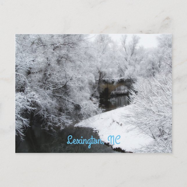 Dreamy Snow Horizontal Postcard (Front)