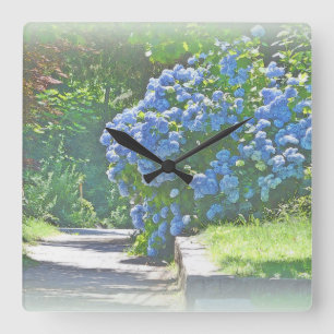 Dreamy Summer Hydrangeas Square Wall Clock